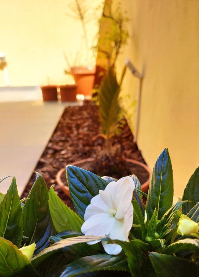 Lo Strullo Apartment Pisa Exterior photo
